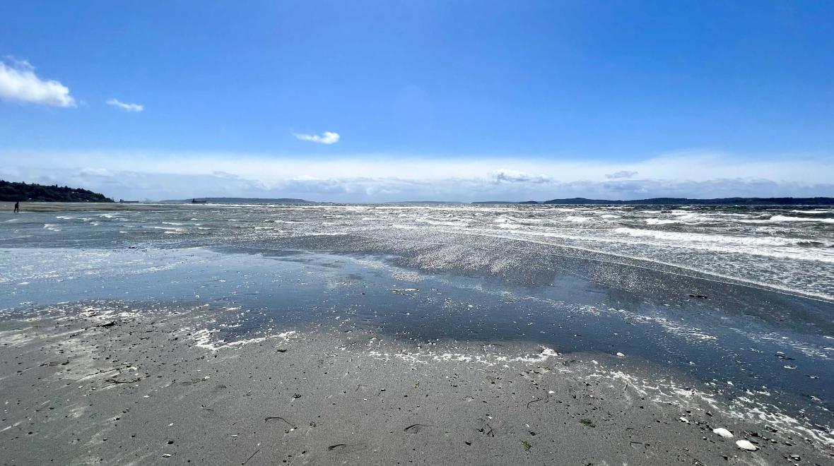 Low Tide Beach Exploration | Seattle Area Family Fun Calendar | ParentMap